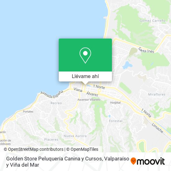 Mapa de Golden Store Peluquería Canina y Cursos