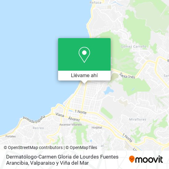 Mapa de Dermatólogo-Carmen Gloria de Lourdes Fuentes Arancibia