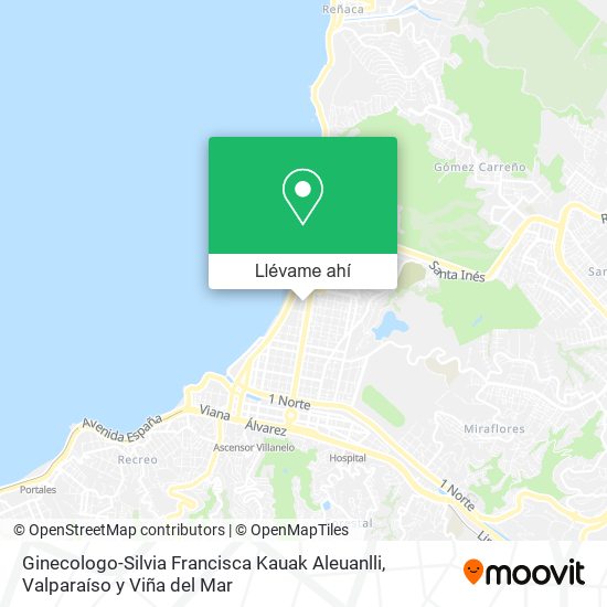 Mapa de Ginecologo-Silvia Francisca Kauak Aleuanlli