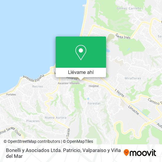 Mapa de Bonelli y Asociados Ltda. Patricio