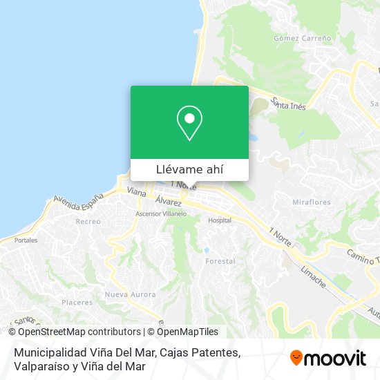 Mapa de Municipalidad Viña Del Mar, Cajas Patentes