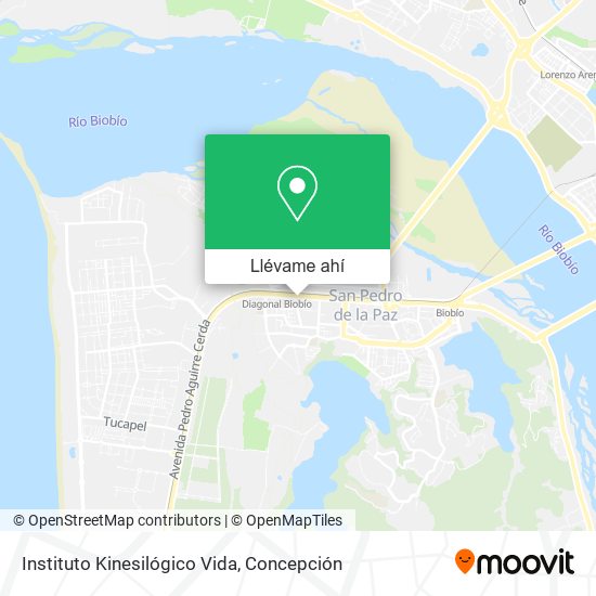 Mapa de Instituto Kinesilógico Vida