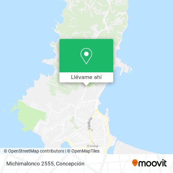 Mapa de Michimalonco 2555