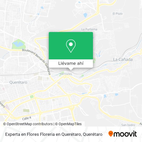 Cómo llegar a Experta en Flores Floreria en Querétaro en Hércules en  Autobús?