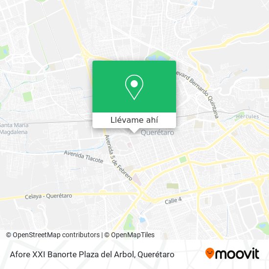 Mapa de Afore XXI Banorte Plaza del Arbol