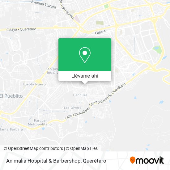 Mapa de Animalia Hospital & Barbershop