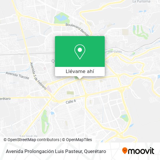 Mapa de Avenida Prolongación Luis Pasteur