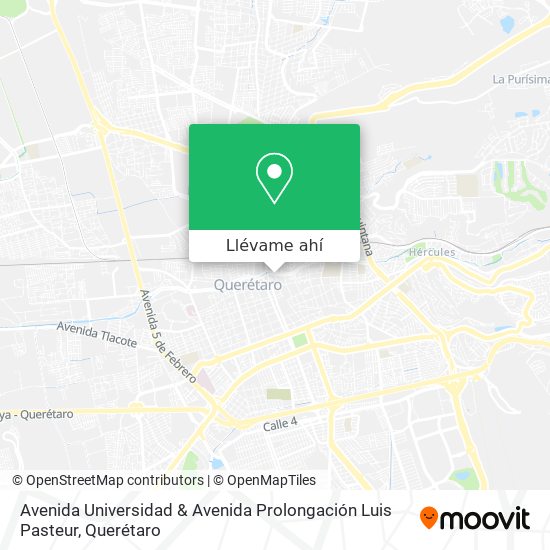 Mapa de Avenida Universidad & Avenida Prolongación Luis Pasteur