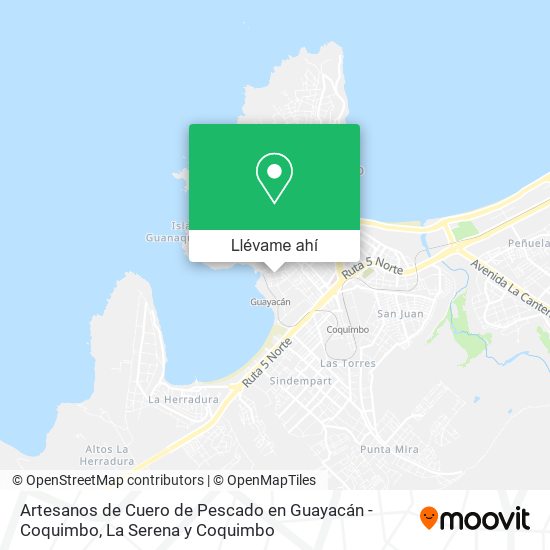 Mapa de Artesanos de Cuero de Pescado en Guayacán - Coquimbo