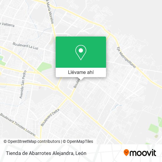 Mapa de Tienda de Abarrotes Alejandra