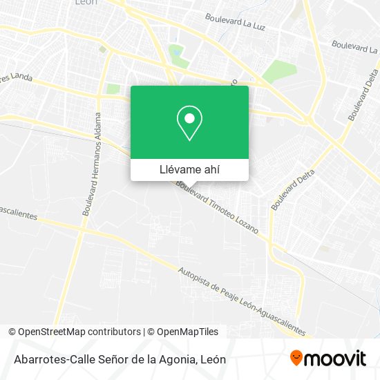 Mapa de Abarrotes-Calle Señor de la Agonia