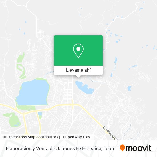 Mapa de Elaboracion y Venta de Jabones Fe Holistica