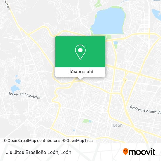 Mapa de Jiu Jitsu Brasileño León