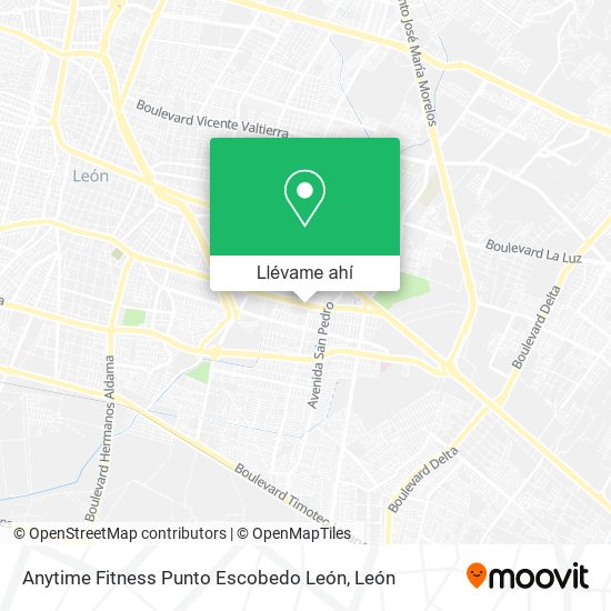 Mapa de Anytime Fitness Punto Escobedo León