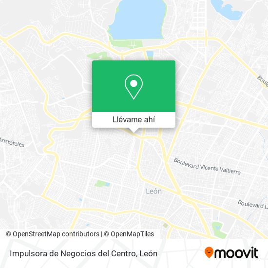 Mapa de Impulsora de Negocios del Centro