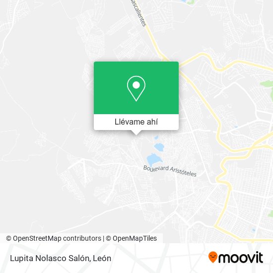 Mapa de Lupita Nolasco Salón