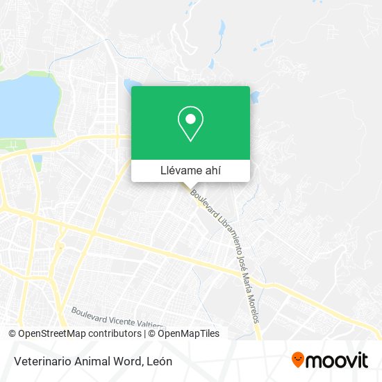 Mapa de Veterinario Animal Word