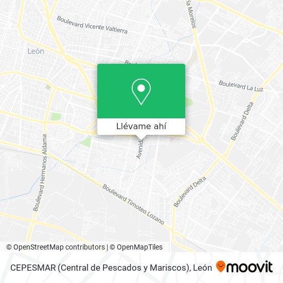 Cómo llegar a CEPESMAR (Central de Pescados y Mariscos) en León en Autobús?