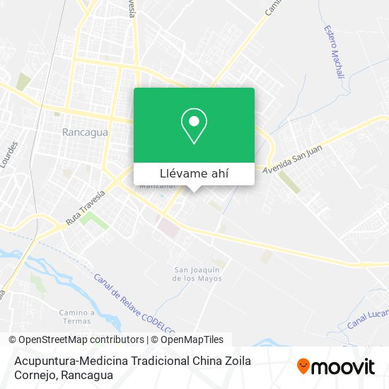 Mapa de Acupuntura-Medicina Tradicional China Zoila Cornejo