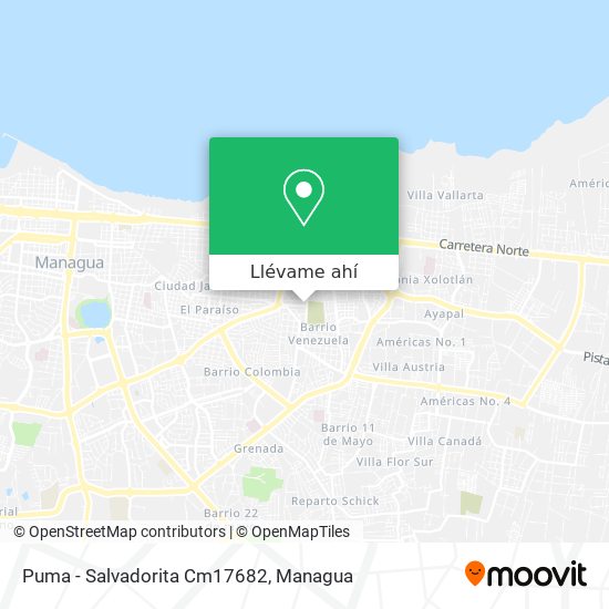 Mapa de Puma - Salvadorita Cm17682