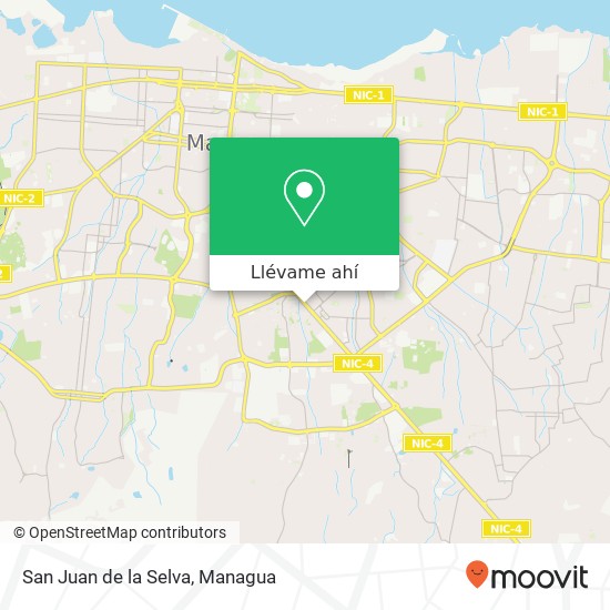 Mapa de San Juan de la Selva, Camino de Oriente Distrito I, Managua