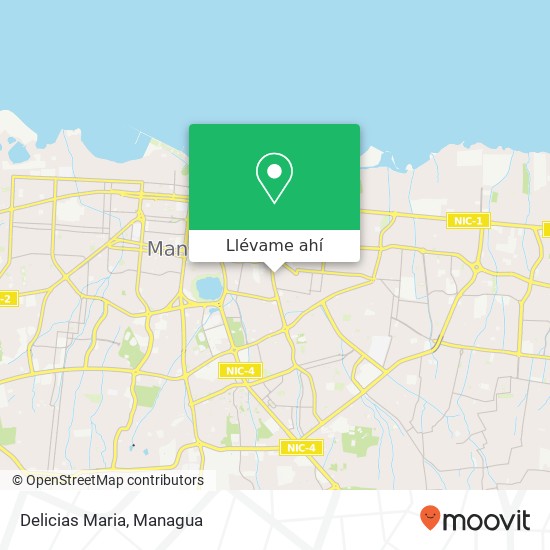 Mapa de Delicias Maria, 17 Pasaje SE Distrito IV, Managua