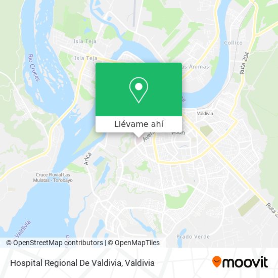 Mapa de Hospital Regional De Valdivia