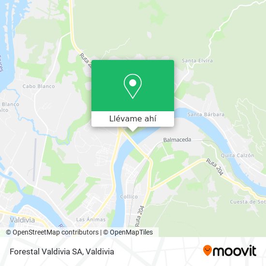 Mapa de Forestal Valdivia SA