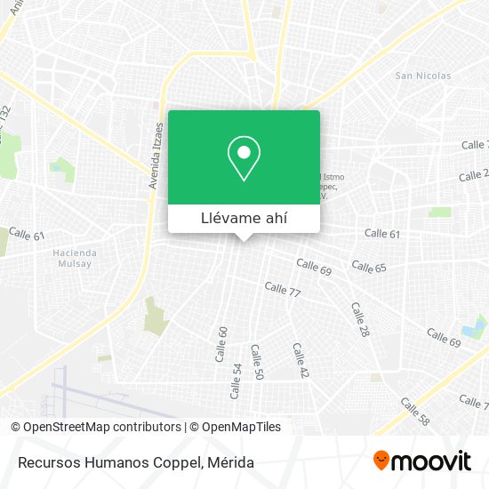 Mapa de Recursos Humanos Coppel