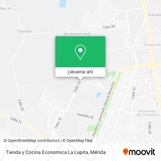 Mapa de Tienda y Cocina Economica La Lupita