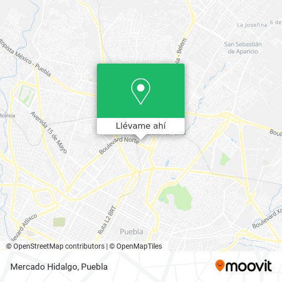 Mapa de Mercado Hidalgo