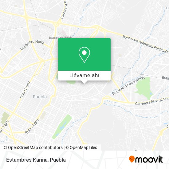 Mapa de Estambres Karina