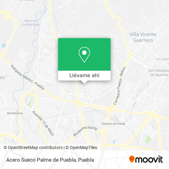 Mapa de Acero Sueco Palme de Puebla