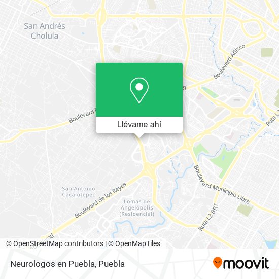 Mapa de Neurologos en Puebla