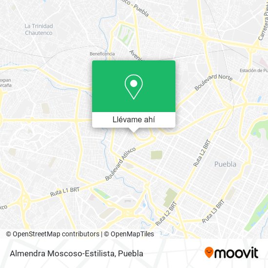Mapa de Almendra Moscoso-Estilista