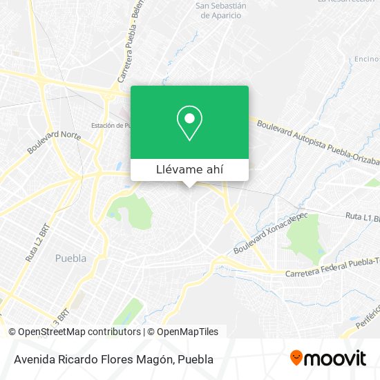 Mapa de Avenida Ricardo Flores Magón