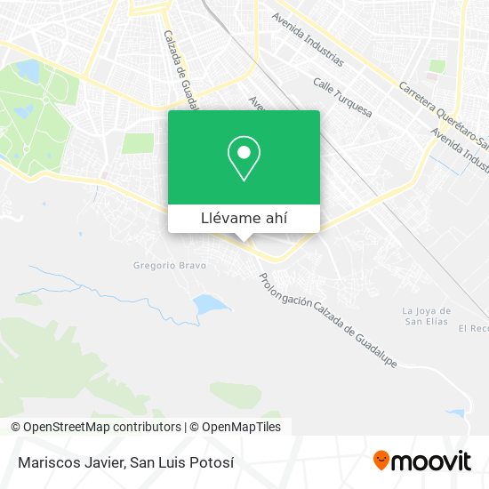 Cómo llegar a Mariscos Javier en San Luis Potosí en Autobús?