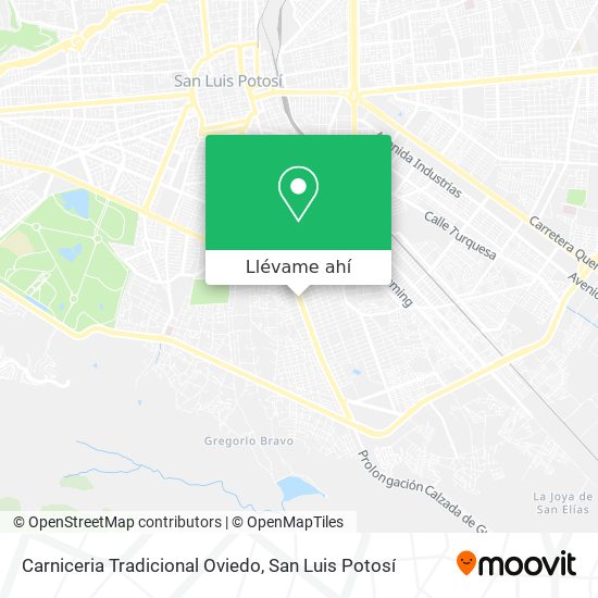Mapa de Carniceria Tradicional Oviedo