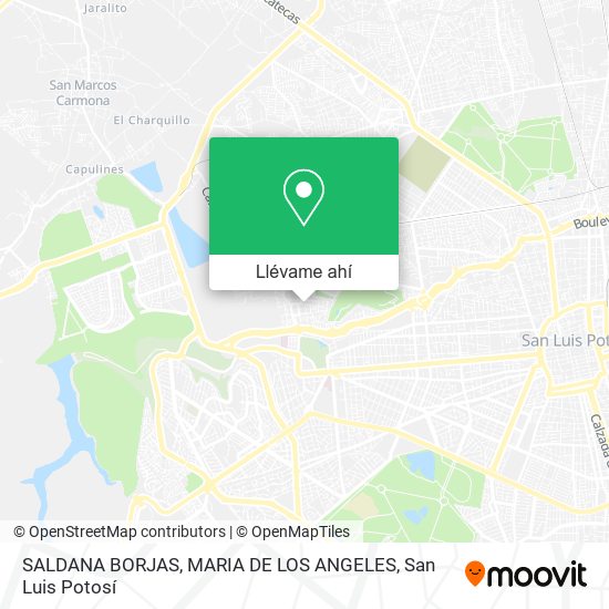 Mapa de SALDANA BORJAS, MARIA DE LOS ANGELES