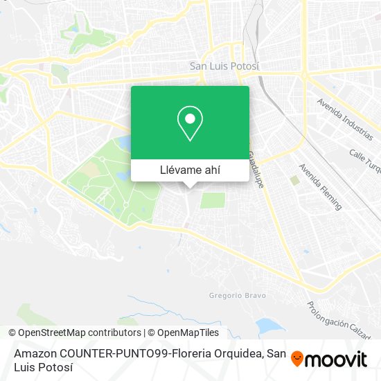 Mapa de Amazon COUNTER-PUNTO99-Floreria Orquidea