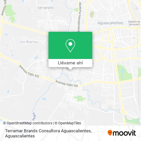 Mapa de Terramar Brands Consultora Aguascalientes