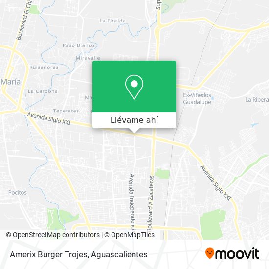 Cómo llegar a Amerix Burger Trojes en Aguascalientes en Autobús?