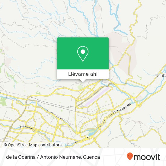 Mapa de de la Ocarina / Antonio Neumane