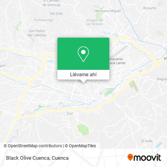 Mapa de Black Olive Cuenca