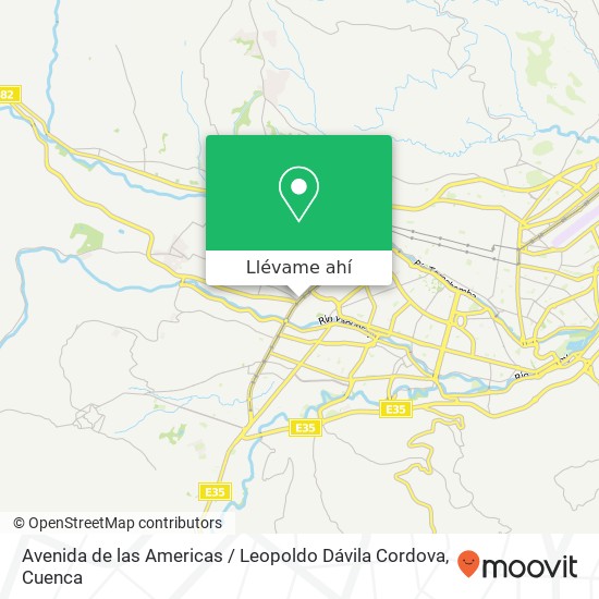 Mapa de Avenida de las Americas / Leopoldo Dávila Cordova