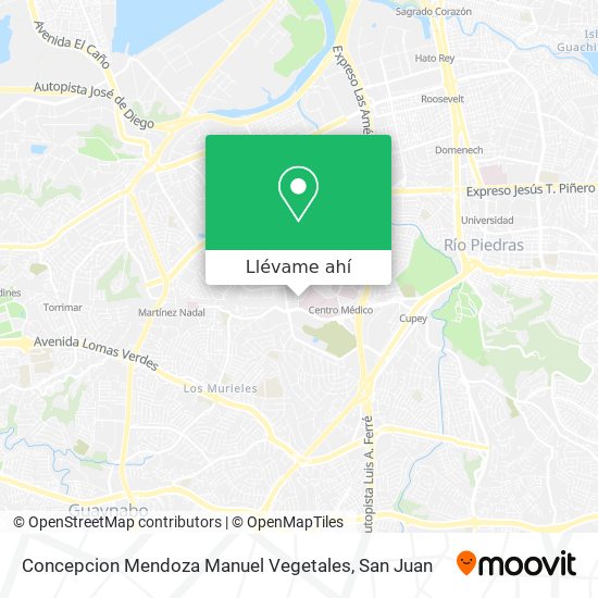 Mapa de Concepcion Mendoza Manuel Vegetales