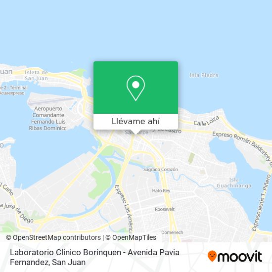 Mapa de Laboratorio Clinico Borinquen - Avenida Pavia Fernandez