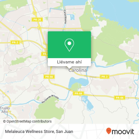 Mapa de Melaleuca Wellness Store