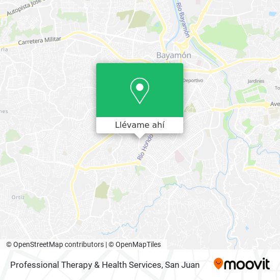 Mapa de Professional Therapy & Health Services