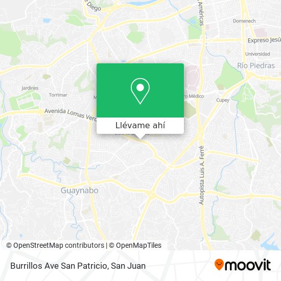 Mapa de Burrillos Ave San Patricio